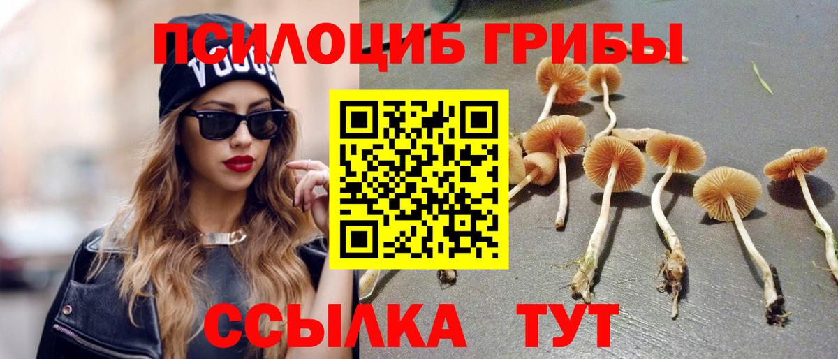 Галлюциногенные грибы мицелий Хасавюрт
