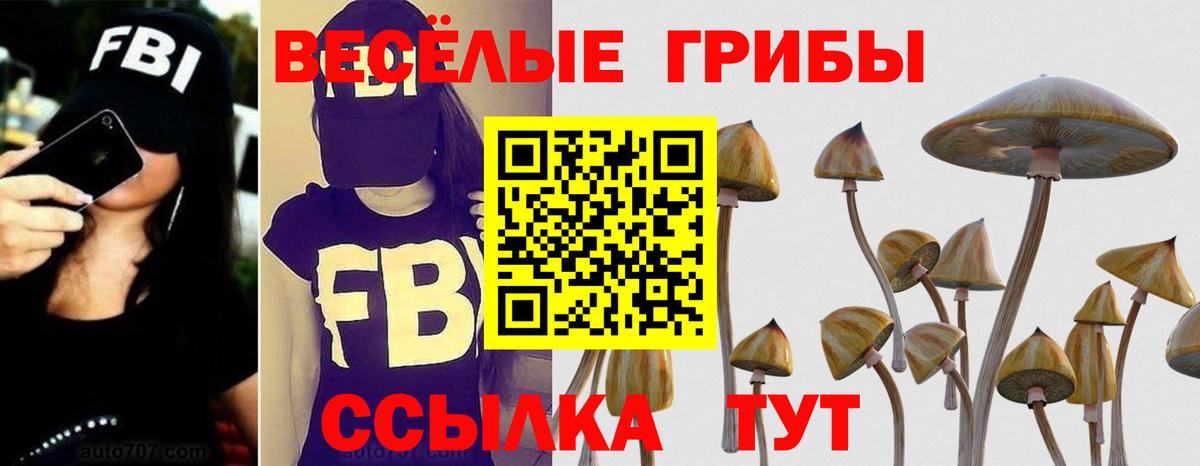 Галлюциногенные грибы Magic Shrooms  Вход с VPN  Хасавюрт 